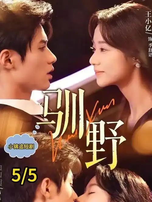 电视剧长夜将明海报